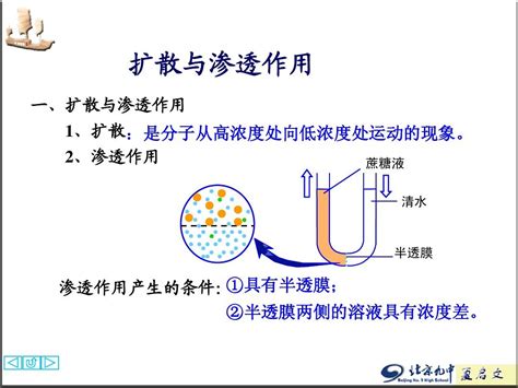 扩散作用|扩散作用